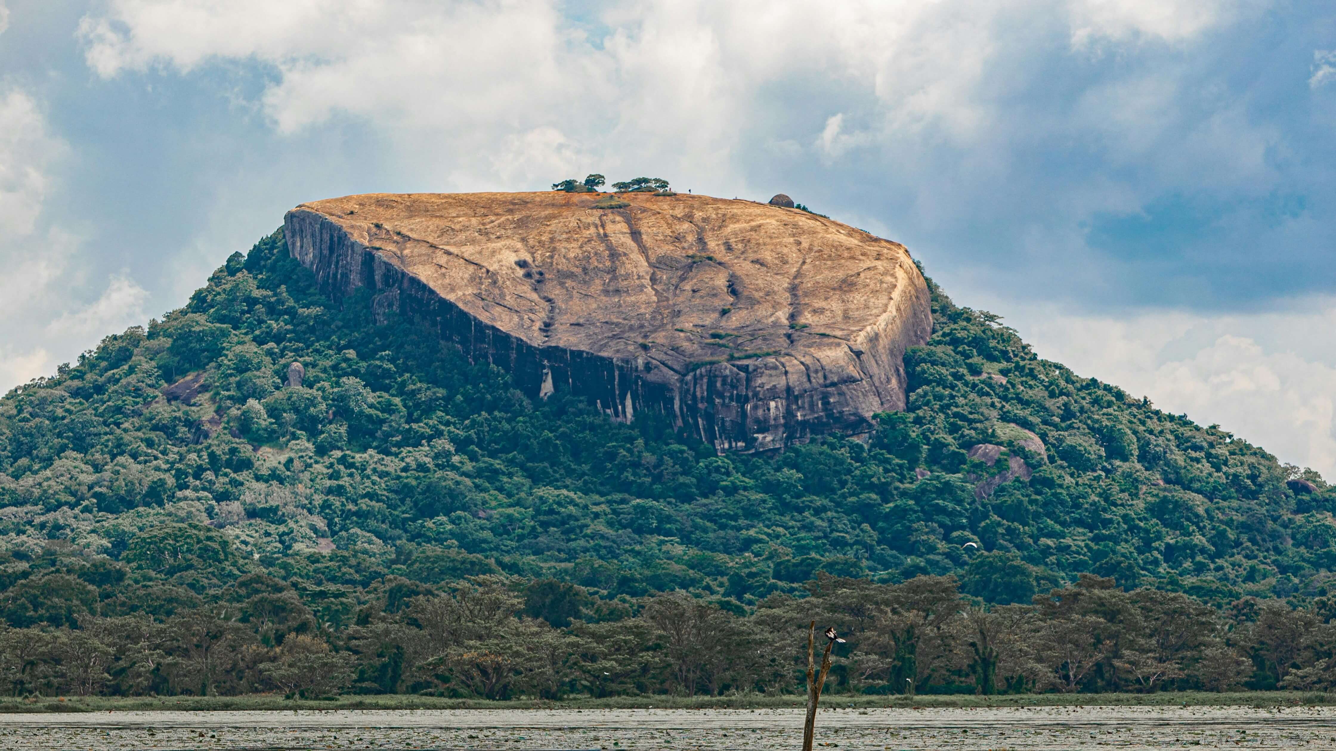 Pidurangala Rock